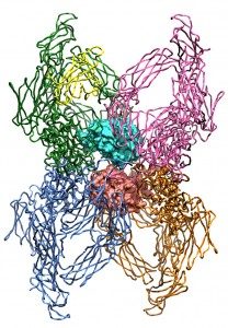 alpha-2-macroglobulin 